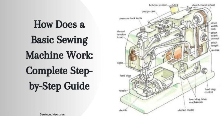 How Does a Basic Sewing Machine Work: 2024 Step By Step Guide